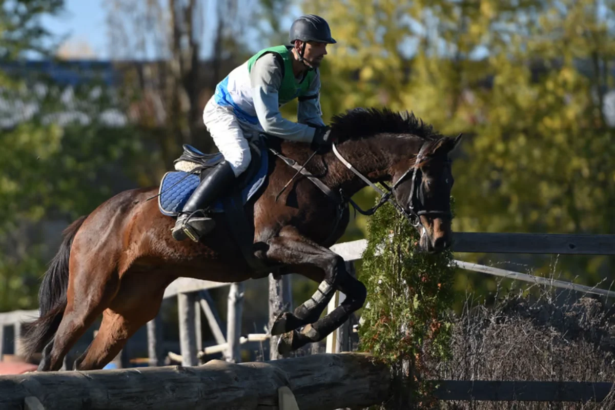 Dual Racing Services Jumping division
